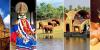 Photo for What Are The Benefits of Availing Tour Packages?
