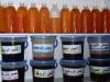 Photo for Argan Oil Market Business Statistics and Research Methodology by Fast Forward Research