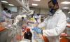 Photo for Toxicology Services Market Report | Top Key Players are - Bureau Veritas, Charles River Laboratories, Envigo, Eurofins Scientific, Evotec A.G.