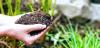 Photo for Biochar Market Study By Technology, Application & Top Key Players - Agri-Tech Producers, LLC, ArSta Eco, Biochar Products, Inc., Biochar Supreme, LLC