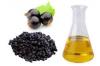 Photo for Sales Revenue in the Blackcurrant Seed Oil Market to Register a Stellar CAGR During 2018 - 2028