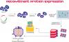 Photo for Recombinant Protein Market To Grow Like Never Before By 2026