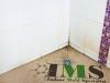 Photo for Black Mold Test Naples