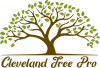 Photo for Cleveland TN Tree Pro