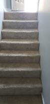 Photo for Top Carpet Cleaner