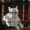 Photo for Buy Indoor and outdoor enclosures