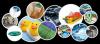 Photo for Bio Plasticizers Market Size & Share - Industry Report, 2019-2026