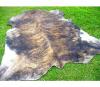 Photo for Calfhides vs Cowhides