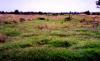 Photo for Land Restoration Market - Trends, Outlook, and Opportunity Analysis, 2018-2026