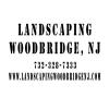 Photo for Landscaping Woodbridge NJ