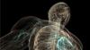 Photo for Medical Animation Market Development History, Current Analysis and Estimated Forecast to 2025