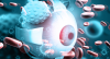 Photo for Medical Animation Market Study By Type, Application & Top Key Players - AXS Studio, Blausen Medical Communications, Inc., Ghost Productions, Inc, Hybrid Medical Animation