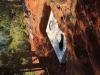 Photo for septic system services - Foothill Septic