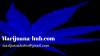 Photo for Health Benefits of Marijuana and Cannabis