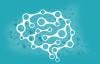 Photo for IQ Testing - Get Your IQ Result Right Now