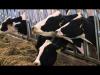 Photo for Animal Feed Organic Trace Market Report 2018-2025 Product Scope & Key Players - Alltech, Inc., Archer Daniels Midland Co., Biochem, Tanke International Group, Cargill Inc., Kemin Industries, Inc.