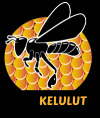 Photo for Dinokelulut