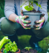 Photo for Quality Gardening Services