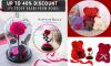 Photo for Notta & Belle coupon codes
