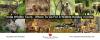 Photo for India Wildlife Tours - Where To Go For A Wildlife Holiday in India