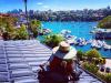 Photo for Sydney Gutter Cleaning - Sydney Gutter Clean