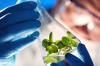 Photo for Bio-based Chemicals Market Size, Share & Trend | Industry Analysis Report, 2026