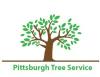 Photo for Pittsburgh Tree Service