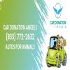 Photo for CAR DONATION ANGELS