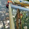 Photo for Home Window Repair, Glass Replacement