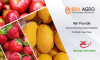 Photo for Best Cold Storage Plant in Pune, Maharashtra | BRK AGRO