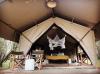 Photo for Explore Maasai Mara Luxury Safari Camps
