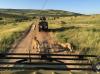 Photo for Masai Mara Safari Tours
