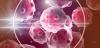 Photo for Janus Kinase Inhibitor Market Demands and Growth Prediction till 2026