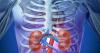 Photo for Transplant Diagnostics Market To, 2025 Trends, Growth and Key Players - Abbott Laboratories Inc., Bio-Rad Laboratories Inc., F. Hoffmann La-Roche AG., Illumina Inc.