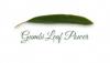 Photo for Gumbi Leaf Powder