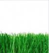 Photo for Sarpy Irrigation