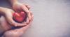 Photo for Short Stories of Kindness
