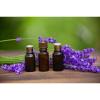 Photo for Global Lavender Oil Market Growth Opportunities, Industry Analysis, Geographic Segmentation and Competitive Landscape Report to 2024