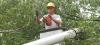 Photo for Soto's Landscape Services