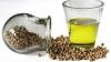 Photo for Bioactive Ingredients Market Worth $50.89 Billion By 2026 | CAGR 5.5%