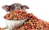 Photo for Pet Food Market Study By Types, Pets & Top Key Players - Nestle S.A., Mars Inc., Procter & Gamble, Big Heart Pet Brands