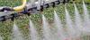 Photo for Water Soluble Fertilizers Market | Size | Share | Research Report To 2025