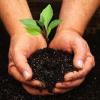 Photo for Biofertilizers Market Study By Crop Type, Microorganism & Top Key Players - CBF China Biofertilizers AG, Novozymes A/S, Agri Life, Antibiotice S.A