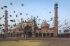 Photo for Rajasthan with Taj Mahal Tour | Taj Tours India