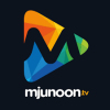 Photo for Live Streaming TV: Watch Pakistani TV Channels Live Online
