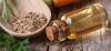 Photo for Celery Seed Solid Extract And Oil Market | Growth, Trends, Demand & Forecast Research Report Till 2025