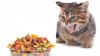 Photo for Cat Food Market Report 2018-2025 By Top Players - Mars, Nestlé Purina PetCare Co., Procter & Gamble, Blue Buffalo Co. Ltd., MPM Products Ltd.