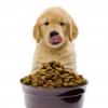 Photo for Global Dog Food Market Report 2018-2025 | Top Key Players : Big Heart Pet Brands, Blue Buffalo Co Ltd., Colgate-Palmolive, Effem México SA de CV, Fressnapf Tiernahrungs GmbH