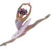 Photo for Seiskaya Ballet