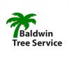 Photo for Baldwin Tree Service